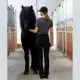 Eques KLFreja dame jodhpur ridebukser